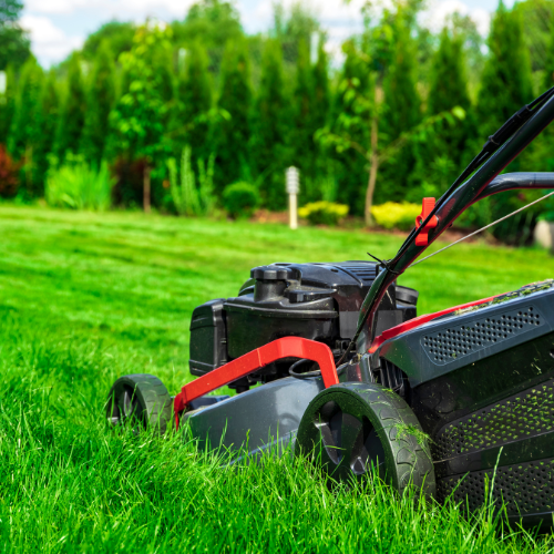 Red and black push lawn mower cutting grass