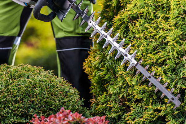 Hedge trimmer