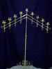 Candelabra, Pr. 9 Lite Brass